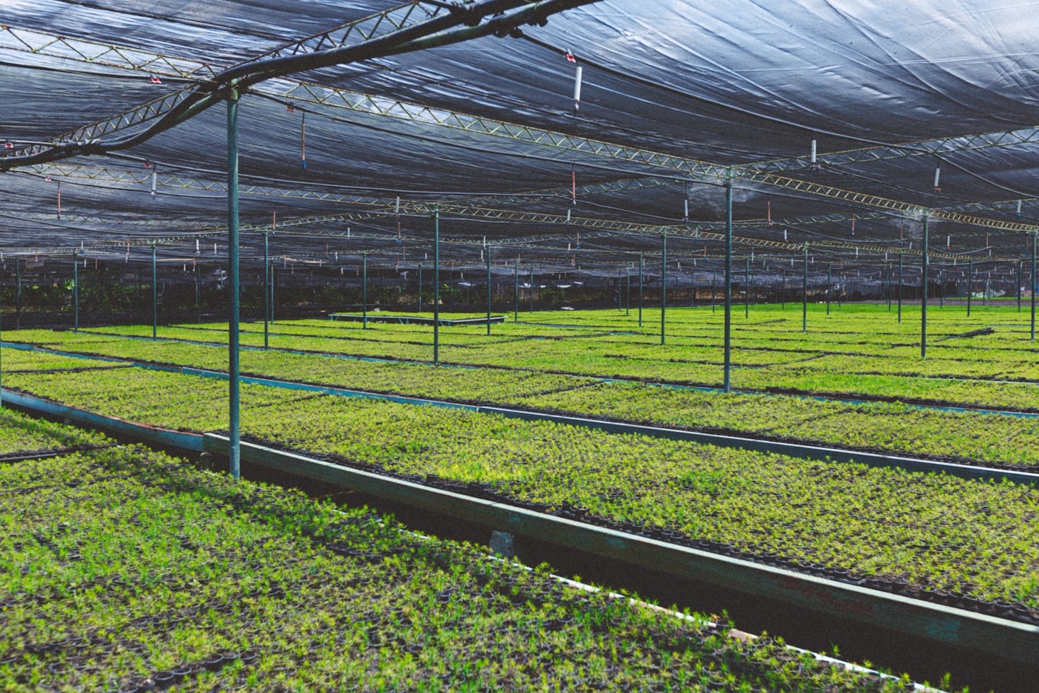 Getting Started With Your First Micro Garden